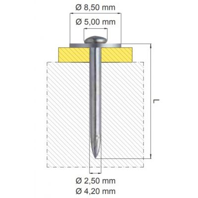 CHIODO PR5 / 15 CONF. 1000