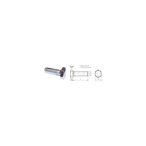 VITE TE MM. 6X50 5739 ZN