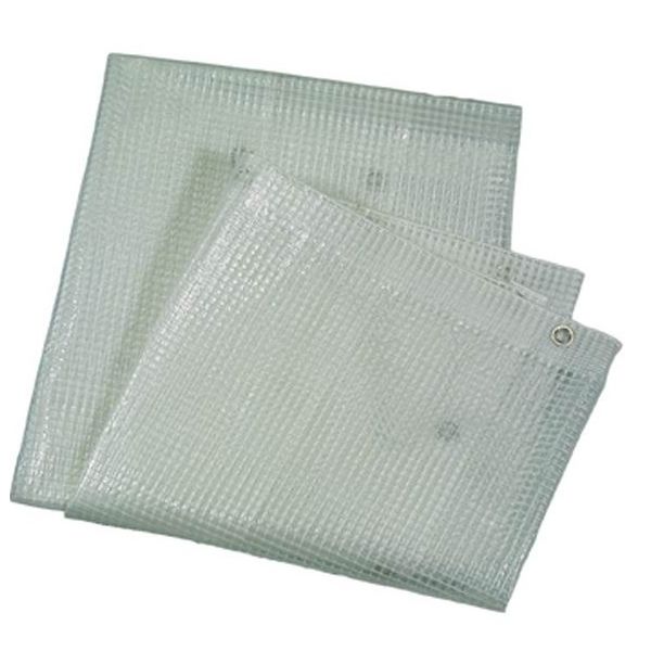 TELO TRASPARENTE RETINATO MT. 2 X 3